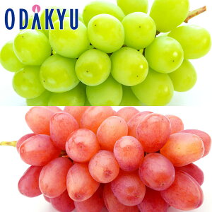 Ԃǂ  쌧Y Ԃ̗΂̂ VC}XJbg & NC[[W 0.7kg G b7-12xł̂͂Eւ͓͕s()