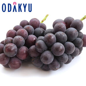 Ԃǂ  쌧Y ԕî Ȃ 2pbN 0.7kg G b7-12xł̂͂Eւ͓͕s()