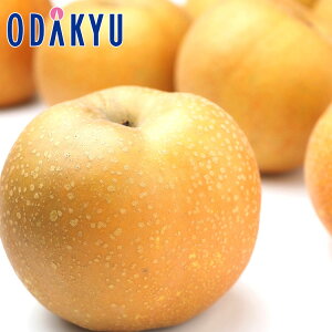 Ȃ  TCYEi킨܂! {̗ 2.4kg b7-12xł̂͂Eւ͓͕s()