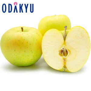   {ǂ Ƃ 2.4kg b7-12xł̂͂Eւ͓͕s()