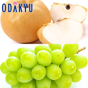   쌧Y ߂̗ƂԂǂ! 쐅 & VC}XJbg 1.5kg G b7-12xł̂͂Eւ͓͕s()