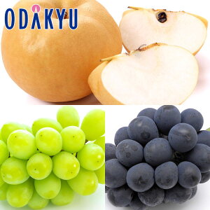 Ԃǂ  쌧Y 쐅ƃVC}XJbg & ȂsI[l 1.8kg G b7-12xł̂͂Eւ͓͕s()
