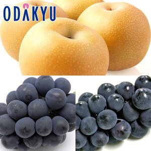 Ԃǂ  {̗ƎȂsI[l & Ȃ 1.8kg G b7-12xł̂͂Eւ͓͕s()