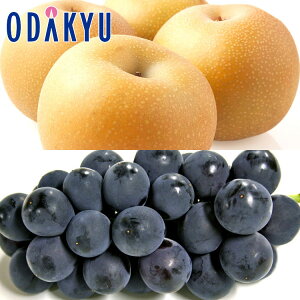 Ԃǂ  {̗ƎȂ 1.5kg G b7-12xł̂͂Eւ͓͕s()