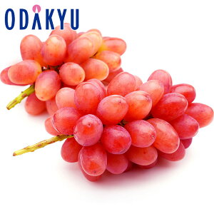 Ԃǂ 쌧Y NC[[W 2[l 1kg G b7-12xł̂͂Eւ͓͕s()