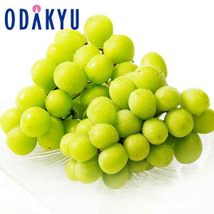 Ԃǂ 쌧Y 600gȏ ̑[VC}XJbg 2[ 1.2kg G b7-12xł̂͂Eւ͓͕s()