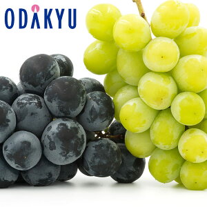 Ԃǂ 쌧Y ̑[VC}XJbgƑ[iKmp[v 1.2kg G b7-12xł̂͂Eւ͓͕s()