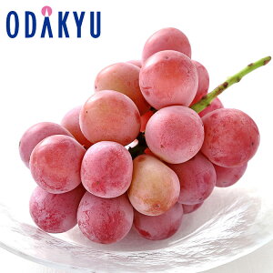 Ԃǂ 쌧Y [NC[j[i 1.2kg G b7-12xł̂͂Eւ͓͕s()