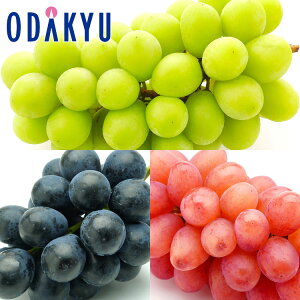 Ԃǂ [ 쌧Y Ȃ̎Oo 3Zbg 1[600gȏ 1.8kg G b7-12xł̂͂Eւ͓͕s()