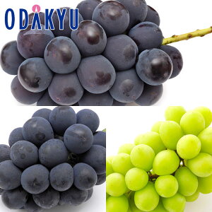  쌧Y MBOԂǂ lߍ킹 1.5kg G b7-12xł̂͂Eւ͓͕s()