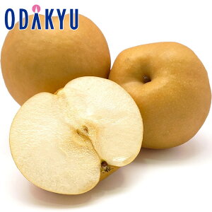 Ȃ 쌧Y x12xȏ 쌧Y 쐅 2.4kg G b7-12xł̂͂Eւ͓͕s()
