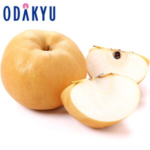 Ȃ 쌧Y x12xȏ 쌧Y 쐅 4.8kg G b7-12xł̂͂Eւ͓͕s()