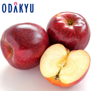 ь V 쌧Y Hf 4.8kg G b7-12xł̂͂Eւ͓͕s()