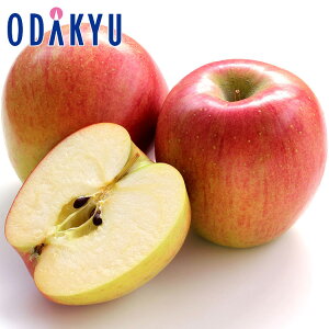 V 쌧Y VimXC[g 4.8kg G b101ȍ~̂͂Eւ͓͕s()