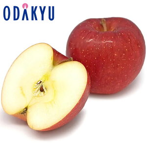  x XY Ђ 4.8kg G b10{ȍ~̂͂Eւ͓͕s()