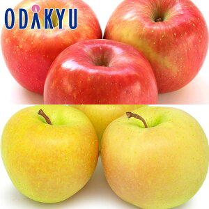 ь V ӂ & Ƃ񂲃Zbg 1.6kg G b7-12xł̂͂Eւ͓͕s()