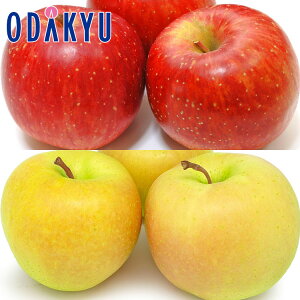 ь V Ђ & Ƃ񂲃Zbg 1.6kg G b10{ȍ~̂͂Eւ͓͕s()