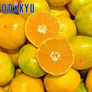  V[YJn F{Y ̊@݂S E MTCY 5kg b7-12xł̂͂Eւ͓͕s()