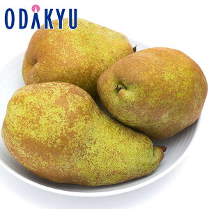 m R`Y o[h 6ʋl 1.8kg G b7-12xł̂͂Eւ͓͕s()
