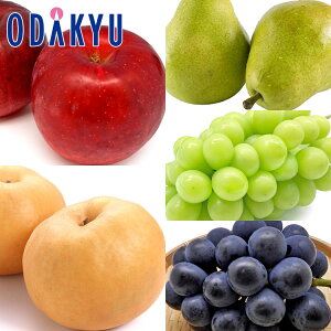   Ԃǂ 쌧Y MB10̖oZbg 2.4kg G b7-12xł̂͂Eւ͓͕s()