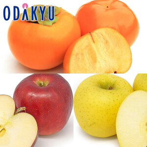 JL  xL` × VimXC[g & S[hHה! 1.5kg G b7-12xł̂͂Eւ͓͕s()