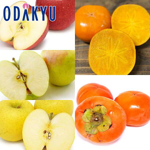 JL  OOӂ E ܖ E VimS[h & `l 3.1kg G b7-12xł̂͂Eւ͓͕s()