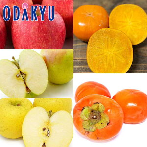 JL  Tӂ E ܖ E VimS[h & `l 3.1kg G b11{ȍ~̂͂Eւ͓͕s()