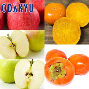 JL  Tӂ E ܖ E  & `l 3.1kg G b11{ȍ~̂͂Eւ͓͕s()