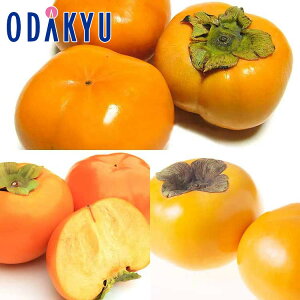 JL m Ê`O 2.2kg G b7-12xł̂͂Eւ͓͕s()