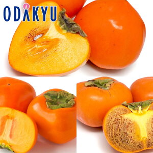 JL a̎Raʂ`O 2.5kg G b7-12xł̂͂Eւ͓͕s()