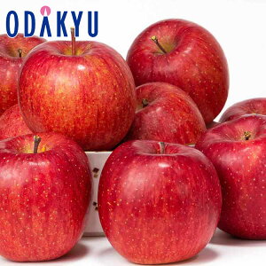  ՂX E  E R`̃TӂH 4.8kg G b11{ȍ~̂͂Eւ͓͕s()