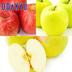  X񂲎O 2.4kg G b11{ȍ~̂͂Eւ͓͕s()