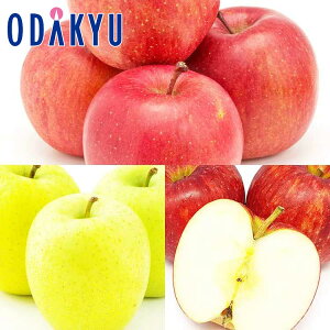  xX񂲎O 2.4kg G b11{ȍ~̂͂Eւ͓͕s()