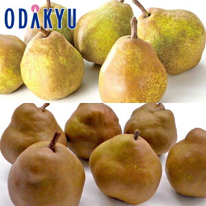 mȂ X EtX & S[hEtXՂ芬\Zbg 3.2kg G b7-12xł̂͂Eւ͓͕s()