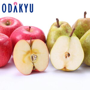  mȂ X xTӂ & EtX 1.6kg G b11{ȍ~̂͂Eւ͓͕s()