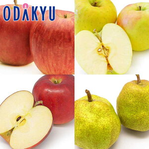  mȂ X ӂ & EtX HהґZbg 2.1kg G b7-12xł̂͂Eւ͓͕s()