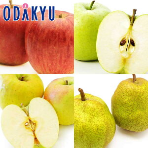  mȂ X X & EtX{ґZbg 2.1kg G b11{ȍ~̂͂Eւ͓͕s()