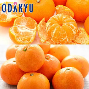 ~J 茧Y Â! q & ܂݂ 5kg b11{ȍ~̂͂Eւ͓͕s()