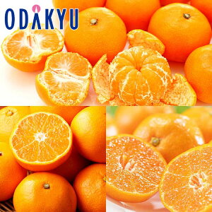 ~J 茧 H q ̊  3kg b11{ȍ~̂͂Eւ͓͕s()