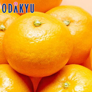 ~J {gbv3! a̎REQEÉ݂ 3kg b11{ȍ~̂͂Eւ͓͕s()