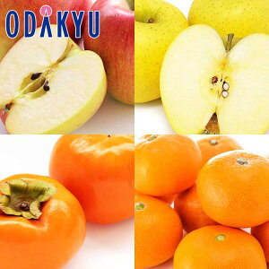 t[cZbg {̂񂲁E`E݂ Hה׃Zbg 3.5kg G b7-12xł̂͂Eւ͓͕s()