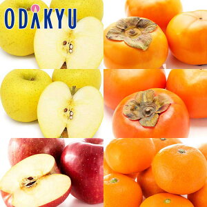 t[cZbg 3E`2E{݂̂Hה׃Zbg 4.1kg G b7-12xł̂͂Eւ͓͕s()