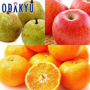  ~J xTӂ & x݂ƃEtX 2.6kg G b11{ȍ~̂͂Eւ͓͕s()