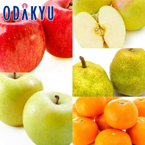 t[cZbg X3ƃEtX & {݂̂ 3.1kg G b11{ȍ~̂͂Eւ͓͕s()