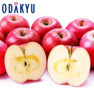  x13xȏ HcY Tӂ 2.4kg G b11{ȍ~̂͂Eւ͓͕s()