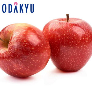  HcY ViHcg 4.8kg G b11{ȍ~̂͂Eւ͓͕s()