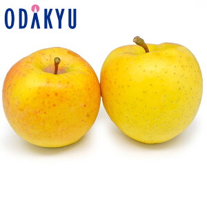  X 󏭂񂲐̋ 2.4kg Gi b11{ȍ~̂͂Eւ͓͕s()