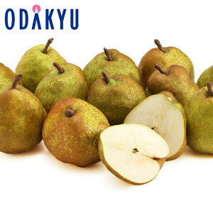 mȂ { R` R̃EtX 2.4kg Gi b7-12xł̂͂Eւ͓͕s()