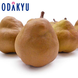 mȂ R`Y S[hEtX 2.4kg Gi b7-12xł̂͂Eւ͓͕s()