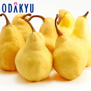 mȂ VY EN`F 2kg G b11{ȍ~̂͂Eւ͓͕s()